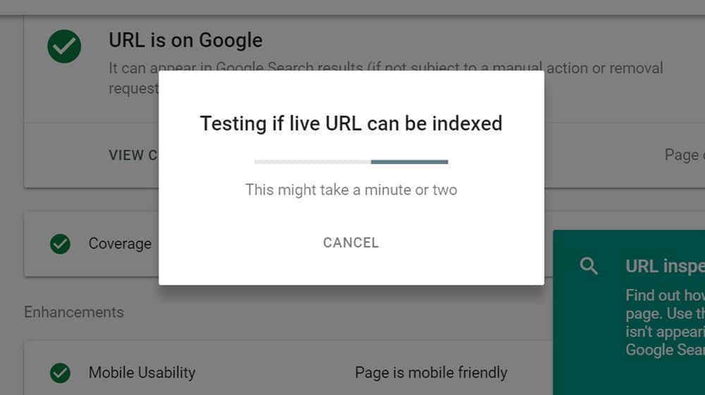 Check If Video Indexed