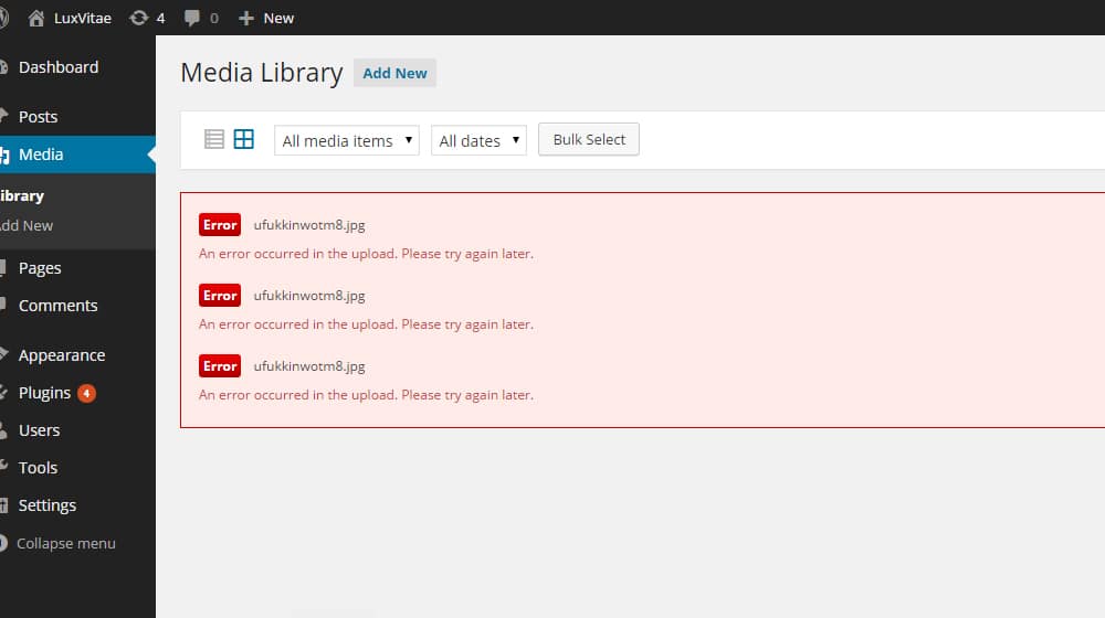 Example Wordpress Plugin Errors