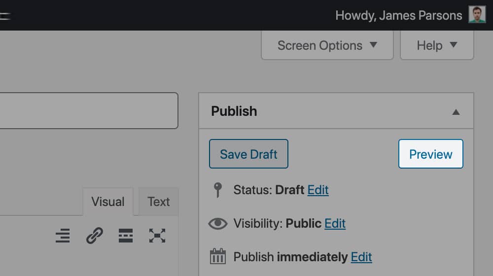 Preview Button