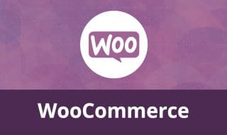 Woocommerce Illustration