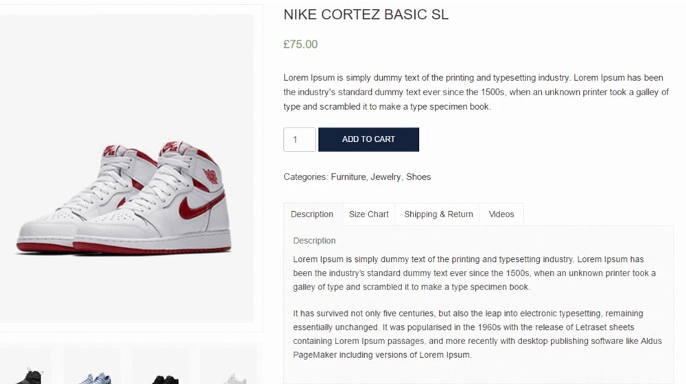 Product Description In Ecommerce