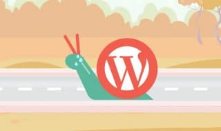 Slow Wordpress Site