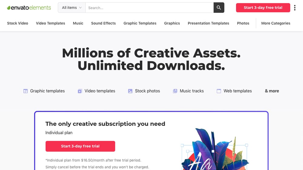 Example License Graphics And Photos