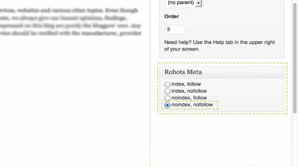 Adding Noindex To Page