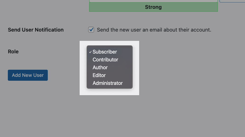 Default User Roles In Wordpress