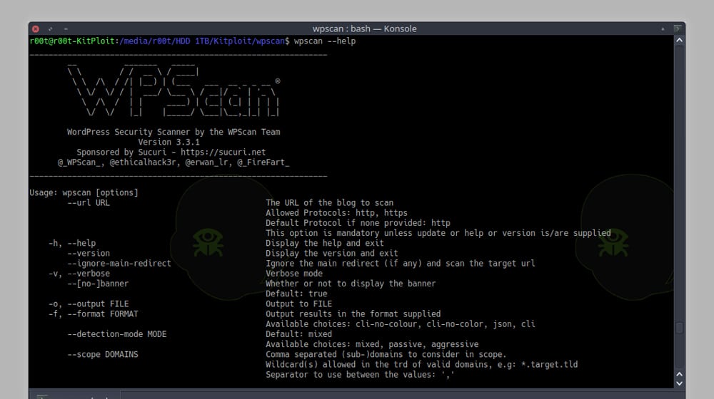 Wordpress Vulnerability Scan Example
