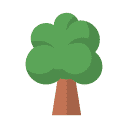 Medium