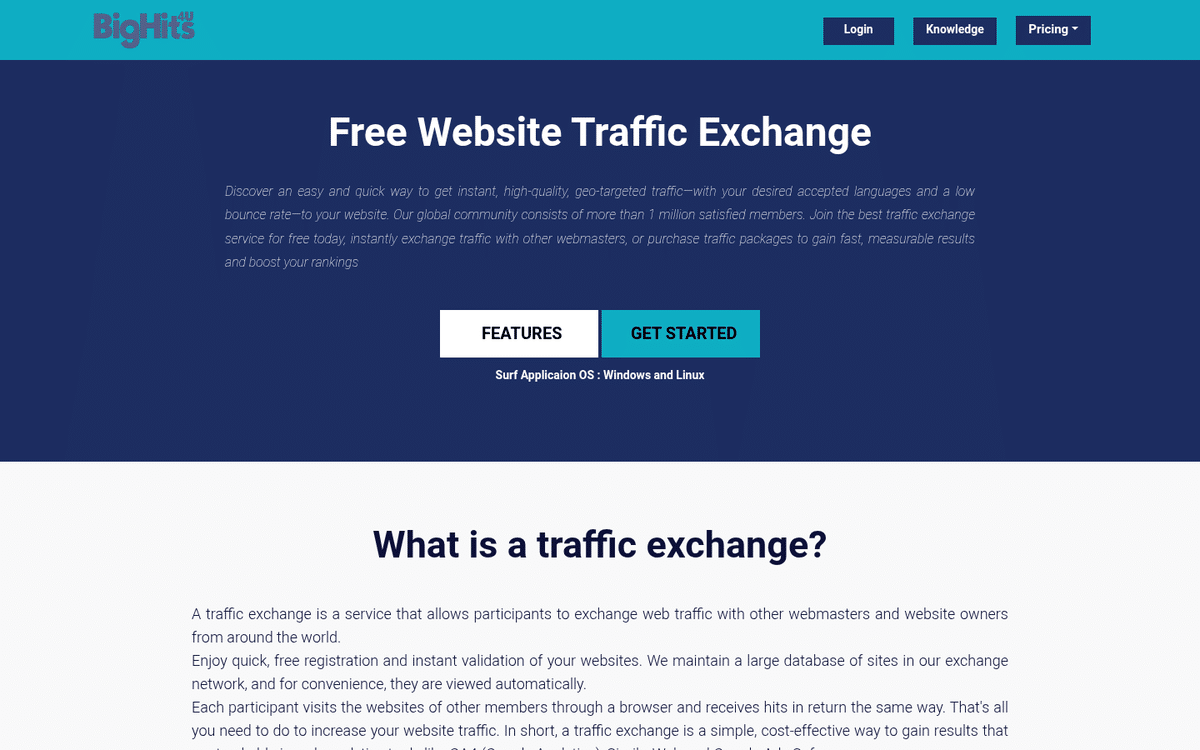 Traffic Exchange Website Dashboard Showing Visitor Stats