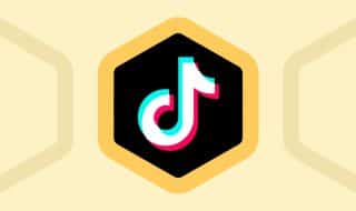 Tiktok Ads Cost