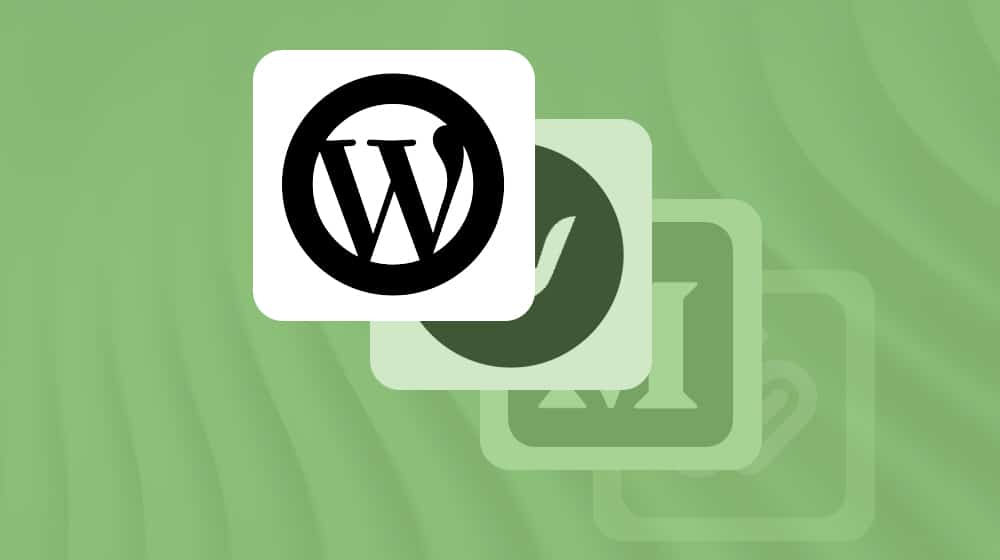 Best Cms For Saas