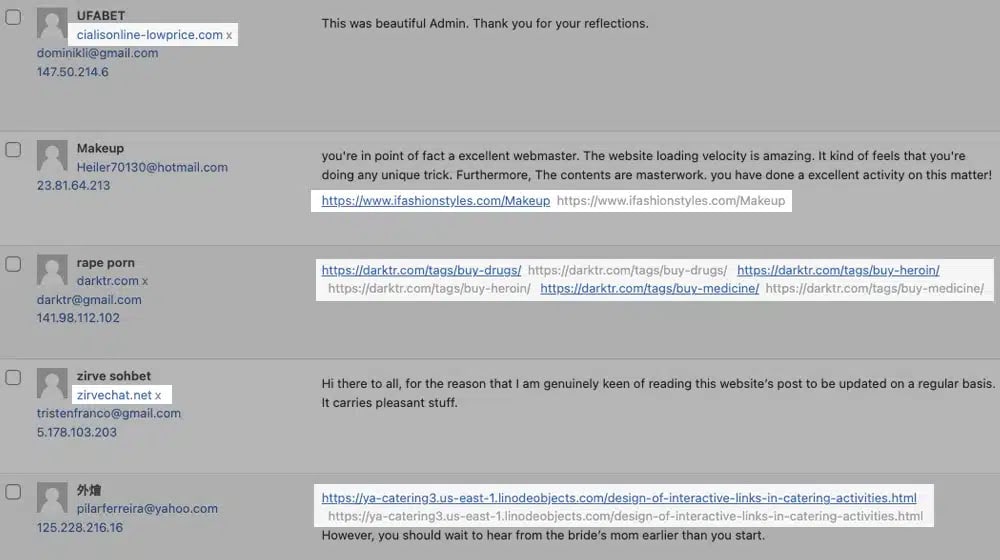 Wordpress Spam Comments