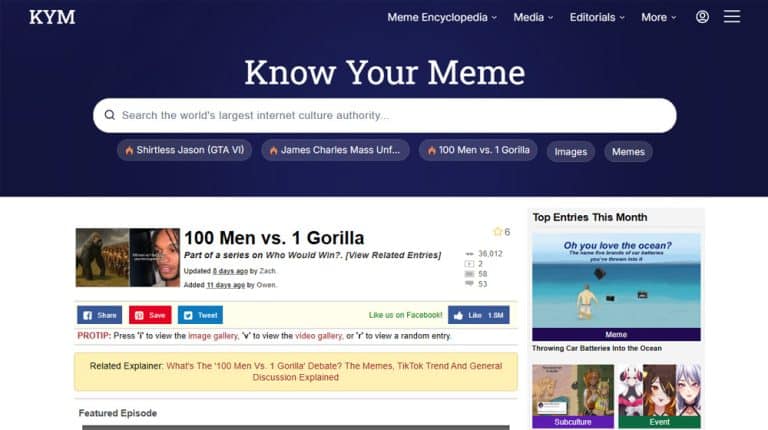 How to Write Blog Intros and Openers (With Examples) - Content Powered