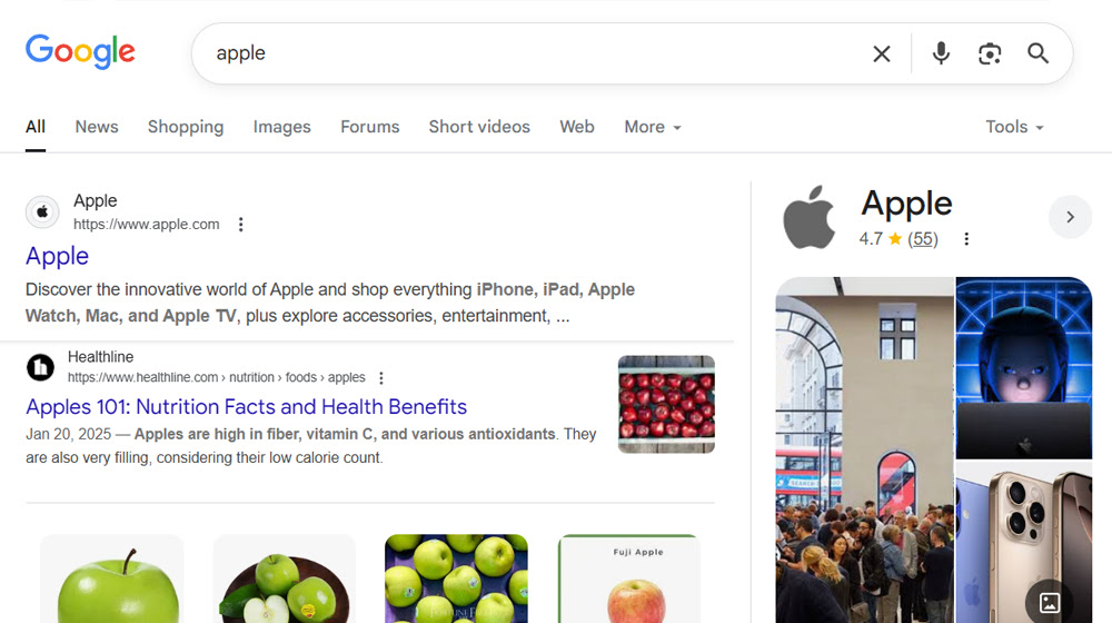 Entities In Seo