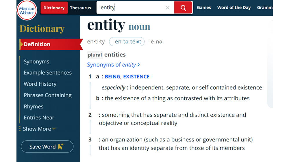What Are Entities