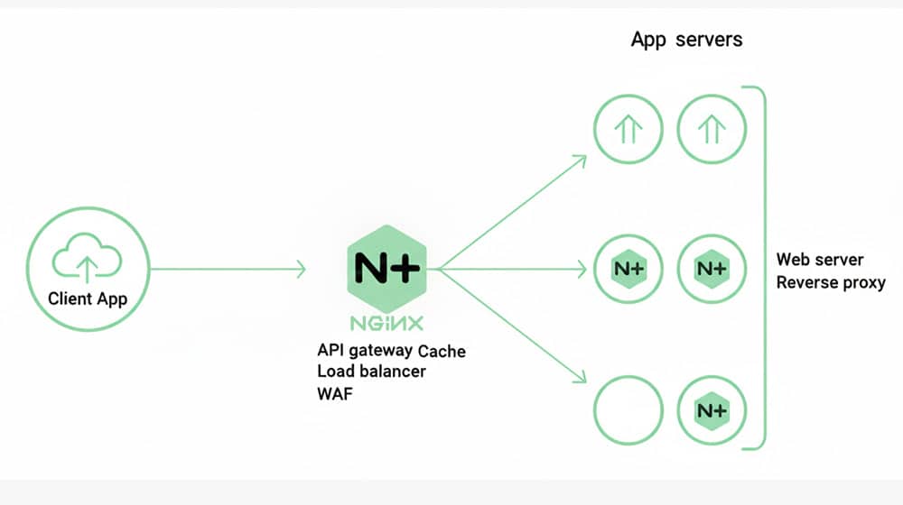 Start In The Right Place