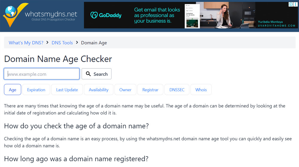 Domain Age