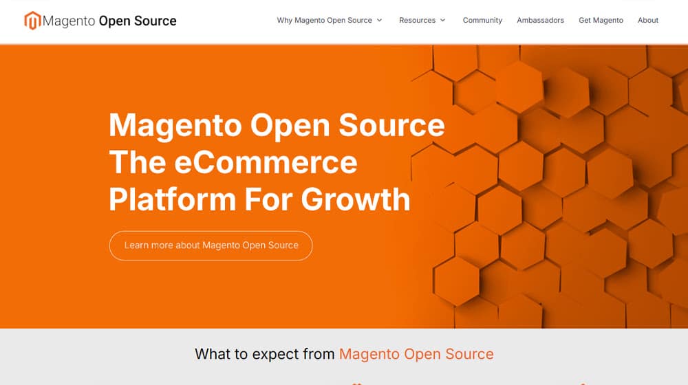 Should You Switch Away From Magento