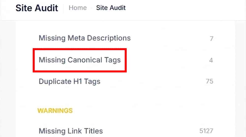 Your Store Is Missing Canonical Urls For Products